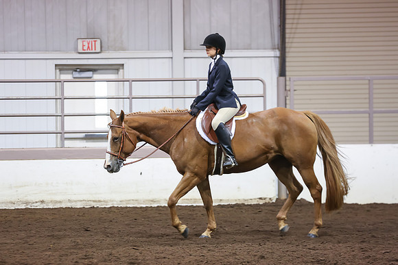 www.ngaphoto.com 2015 Georgia Federation of Saddle Clubs Championship Horse Show