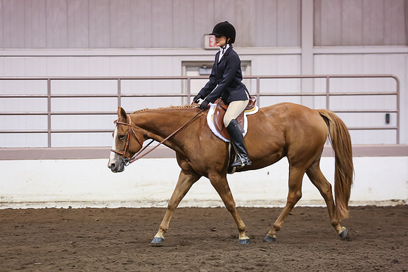 www.ngaphoto.com 2015 Georgia Federation of Saddle Clubs Championship Horse Show