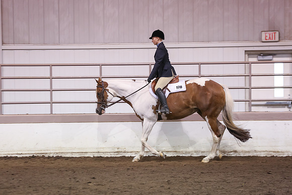 www.ngaphoto.com 2015 Georgia Federation of Saddle Clubs Championship Horse Show