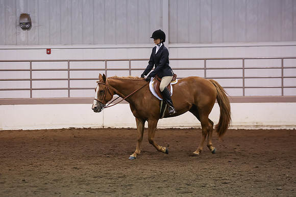 www.ngaphoto.com 2015 Georgia Federation of Saddle Clubs Championship Horse Show