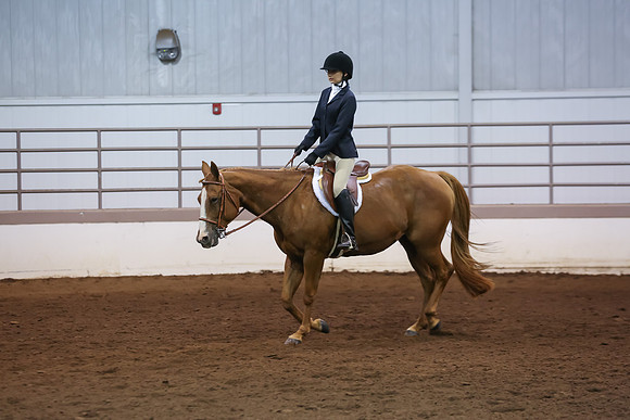www.ngaphoto.com 2015 Georgia Federation of Saddle Clubs Championship Horse Show