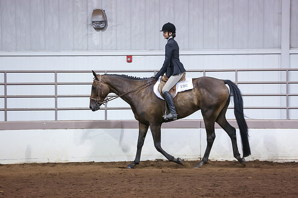 www.ngaphoto.com 2015 Georgia Federation of Saddle Clubs Championship Horse Show