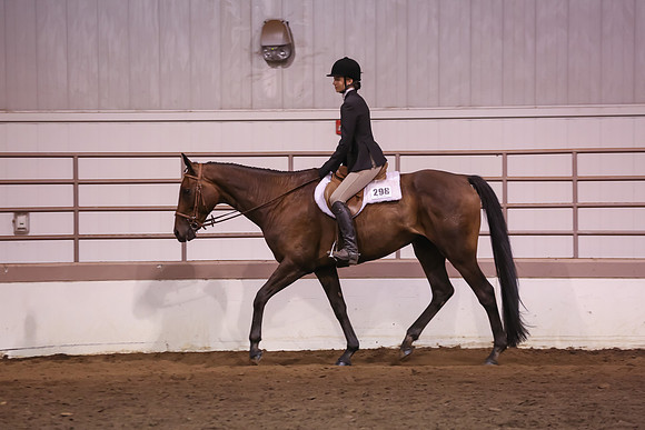 www.ngaphoto.com 2015 Georgia Federation of Saddle Clubs Championship Horse Show