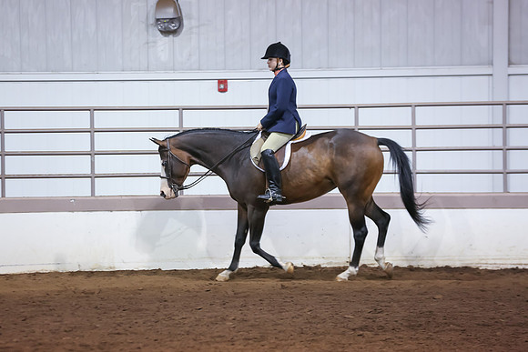 www.ngaphoto.com 2015 Georgia Federation of Saddle Clubs Championship Horse Show