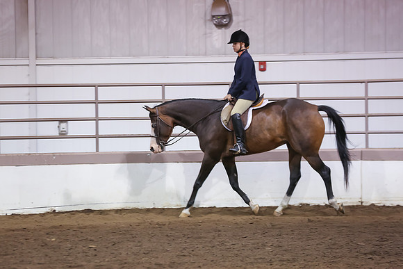 www.ngaphoto.com 2015 Georgia Federation of Saddle Clubs Championship Horse Show
