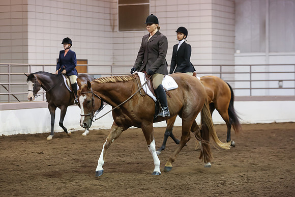 www.ngaphoto.com 2015 Georgia Federation of Saddle Clubs Championship Horse Show