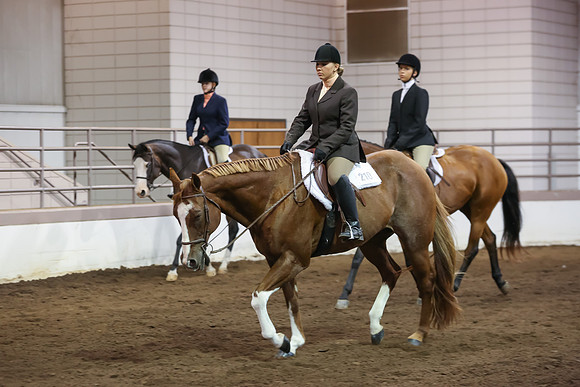 www.ngaphoto.com 2015 Georgia Federation of Saddle Clubs Championship Horse Show