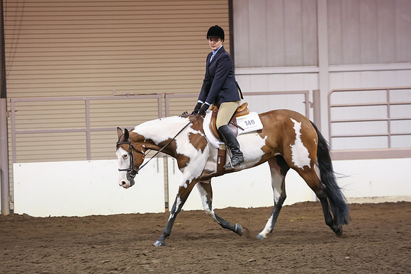 www.ngaphoto.com 2015 Georgia Federation of Saddle Clubs Championship Horse Show