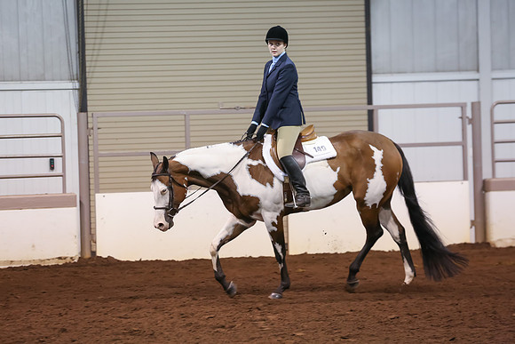 www.ngaphoto.com 2015 Georgia Federation of Saddle Clubs Championship Horse Show
