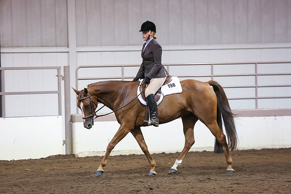 www.ngaphoto.com 2015 Georgia Federation of Saddle Clubs Championship Horse Show