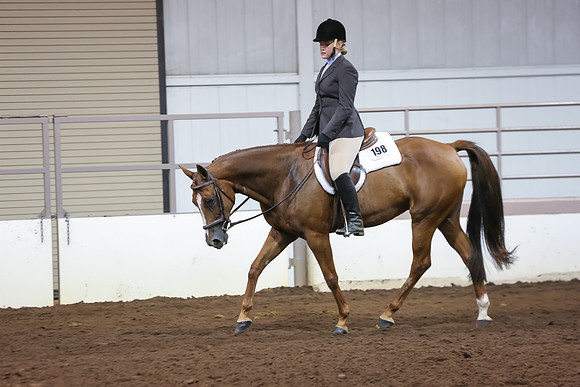 www.ngaphoto.com 2015 Georgia Federation of Saddle Clubs Championship Horse Show