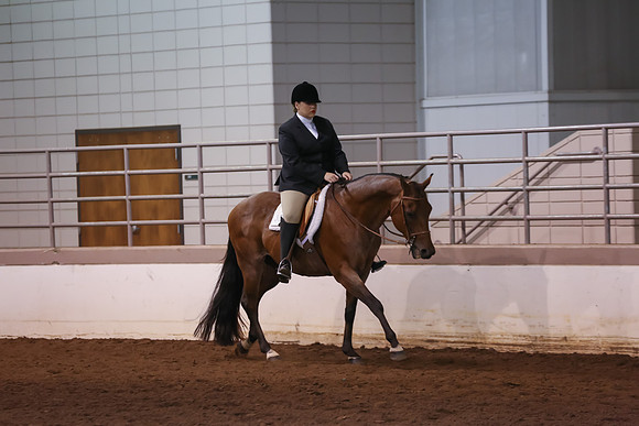 www.ngaphoto.com 2015 Georgia Federation of Saddle Clubs Championship Horse Show