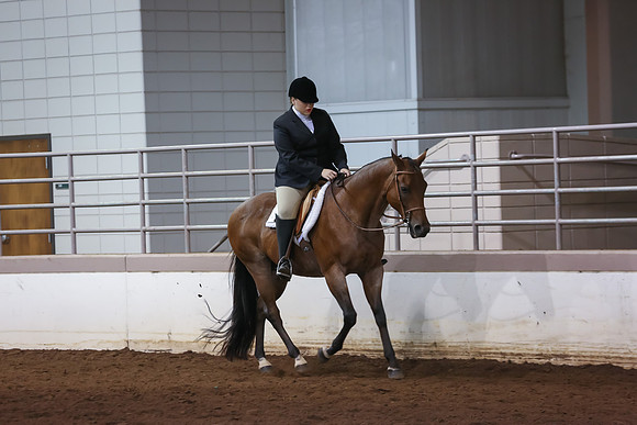 www.ngaphoto.com 2015 Georgia Federation of Saddle Clubs Championship Horse Show