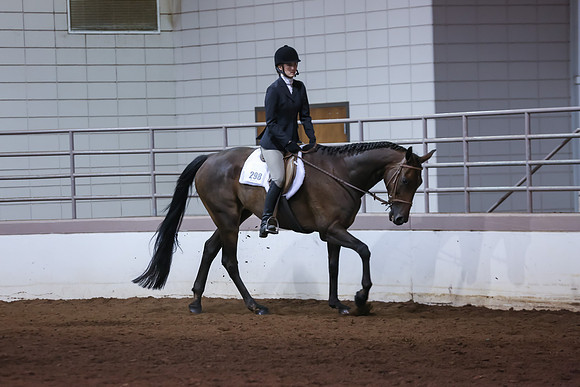 www.ngaphoto.com 2015 Georgia Federation of Saddle Clubs Championship Horse Show