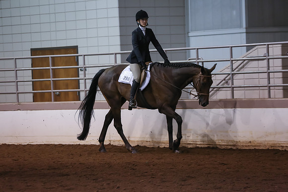 www.ngaphoto.com 2015 Georgia Federation of Saddle Clubs Championship Horse Show
