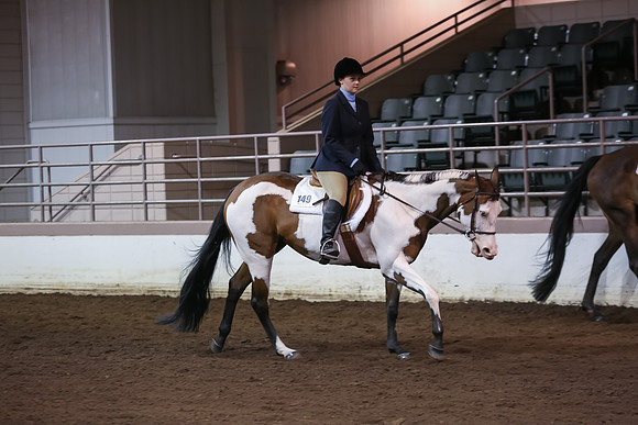 www.ngaphoto.com 2015 Georgia Federation of Saddle Clubs Championship Horse Show