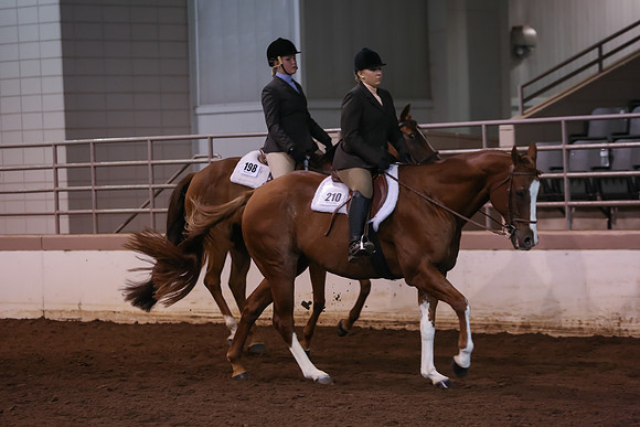 www.ngaphoto.com 2015 Georgia Federation of Saddle Clubs Championship Horse Show