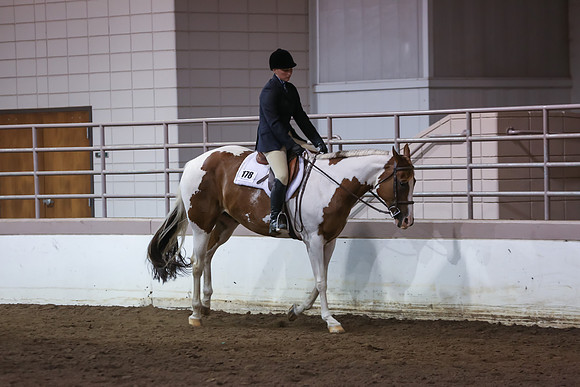 www.ngaphoto.com 2015 Georgia Federation of Saddle Clubs Championship Horse Show