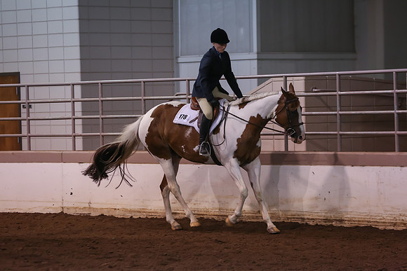 www.ngaphoto.com 2015 Georgia Federation of Saddle Clubs Championship Horse Show