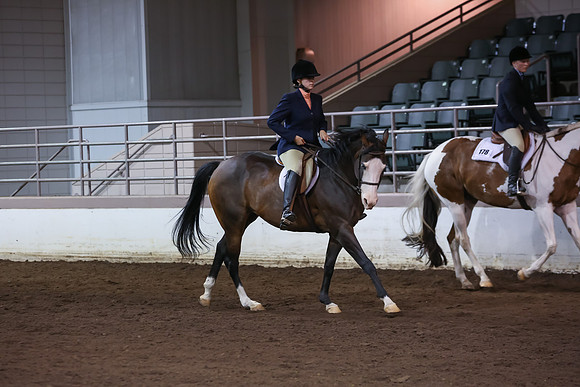 www.ngaphoto.com 2015 Georgia Federation of Saddle Clubs Championship Horse Show