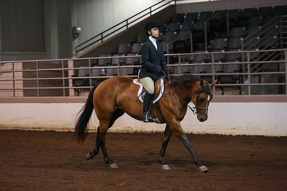 www.ngaphoto.com 2015 Georgia Federation of Saddle Clubs Championship Horse Show