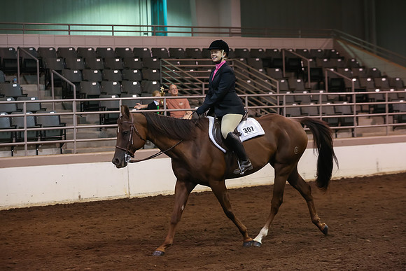 www.ngaphoto.com 2015 Georgia Federation of Saddle Clubs Championship Horse Show