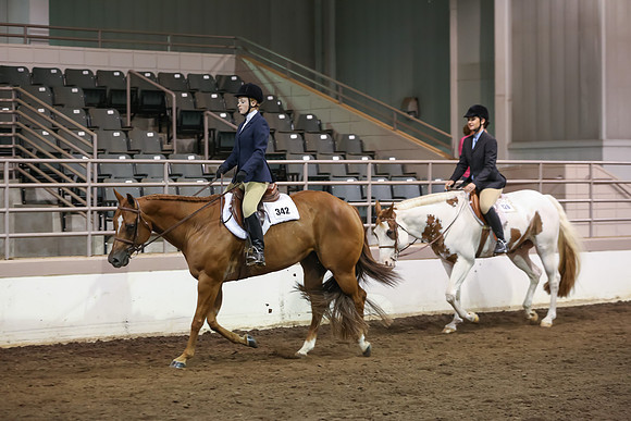 www.ngaphoto.com 2015 Georgia Federation of Saddle Clubs Championship Horse Show