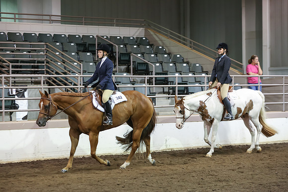 www.ngaphoto.com 2015 Georgia Federation of Saddle Clubs Championship Horse Show