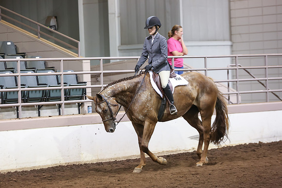 www.ngaphoto.com 2015 Georgia Federation of Saddle Clubs Championship Horse Show