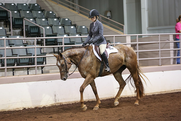 www.ngaphoto.com 2015 Georgia Federation of Saddle Clubs Championship Horse Show