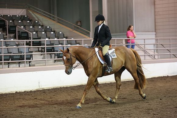 www.ngaphoto.com 2015 Georgia Federation of Saddle Clubs Championship Horse Show