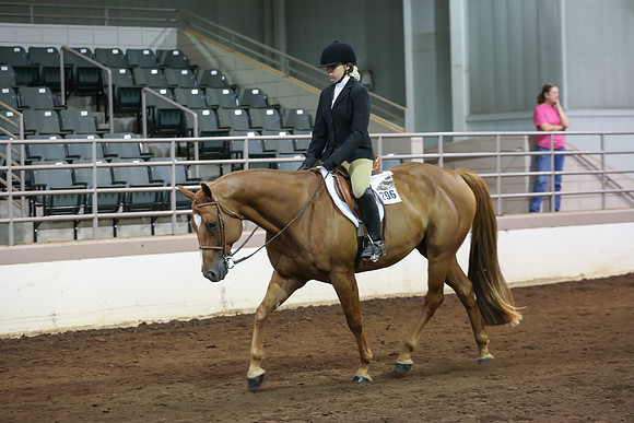 www.ngaphoto.com 2015 Georgia Federation of Saddle Clubs Championship Horse Show