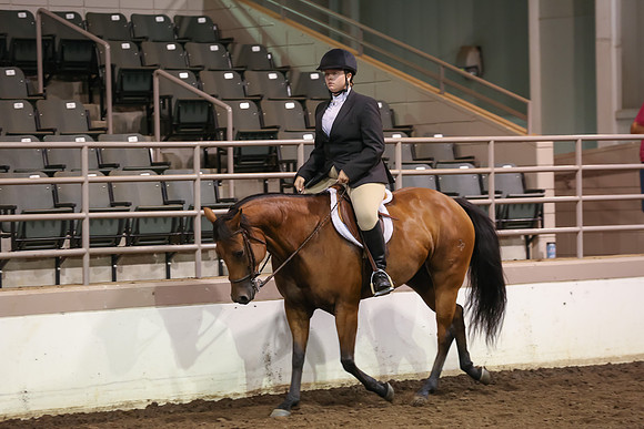 www.ngaphoto.com 2015 Georgia Federation of Saddle Clubs Championship Horse Show