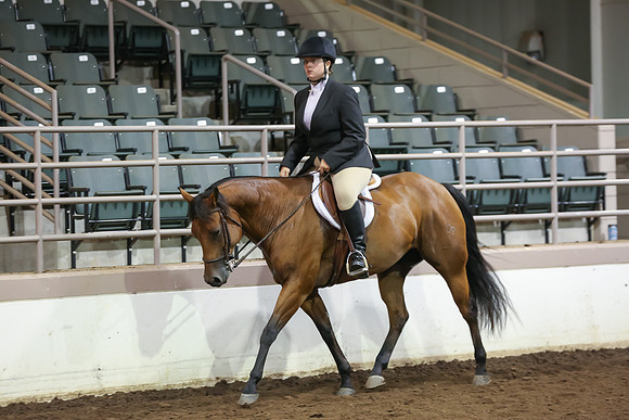 www.ngaphoto.com 2015 Georgia Federation of Saddle Clubs Championship Horse Show