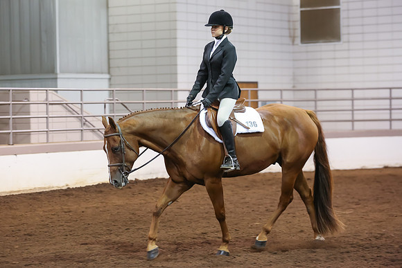 www.ngaphoto.com 2015 Georgia Federation of Saddle Clubs Championship Horse Show