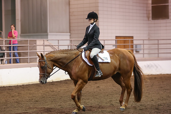 www.ngaphoto.com 2015 Georgia Federation of Saddle Clubs Championship Horse Show
