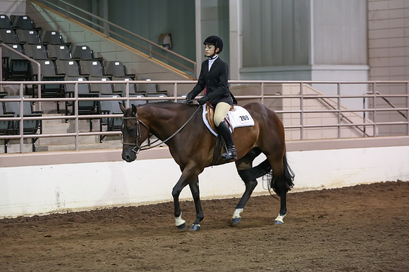 www.ngaphoto.com 2015 Georgia Federation of Saddle Clubs Championship Horse Show