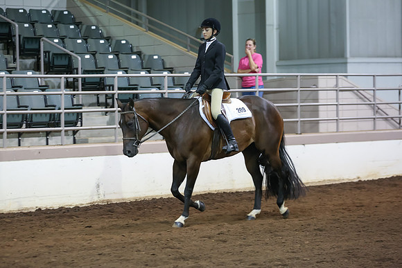 www.ngaphoto.com 2015 Georgia Federation of Saddle Clubs Championship Horse Show