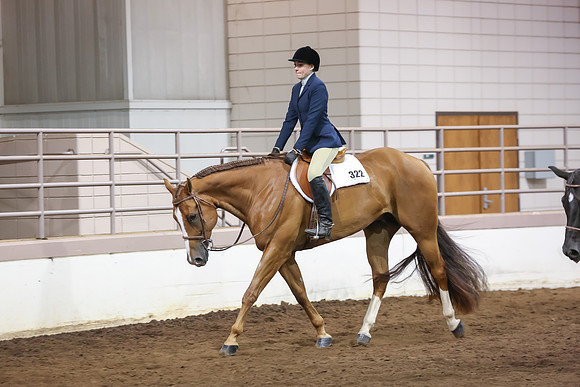www.ngaphoto.com 2015 Georgia Federation of Saddle Clubs Championship Horse Show