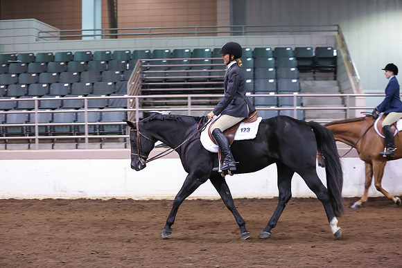 www.ngaphoto.com 2015 Georgia Federation of Saddle Clubs Championship Horse Show