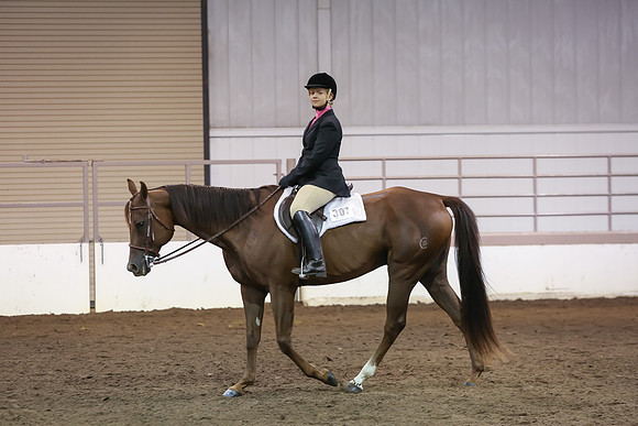 www.ngaphoto.com 2015 Georgia Federation of Saddle Clubs Championship Horse Show