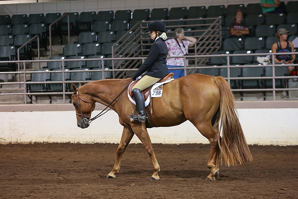 www.ngaphoto.com 2015 Georgia Federation of Saddle Clubs Championship Horse Show