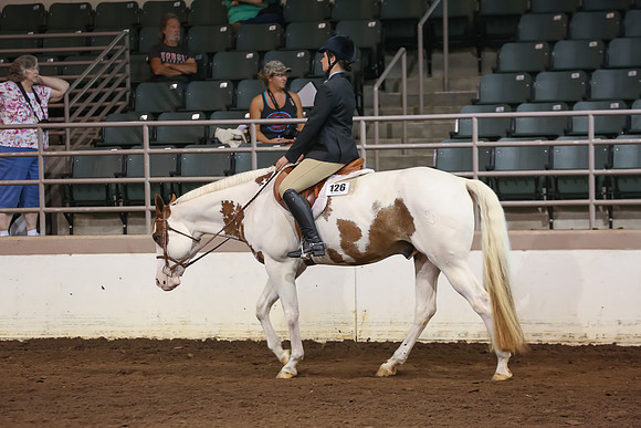 www.ngaphoto.com 2015 Georgia Federation of Saddle Clubs Championship Horse Show