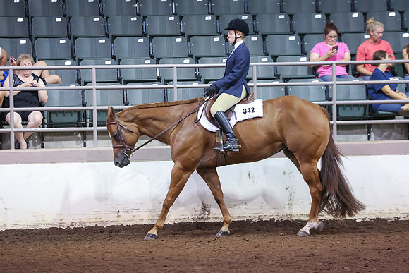 www.ngaphoto.com 2015 Georgia Federation of Saddle Clubs Championship Horse Show