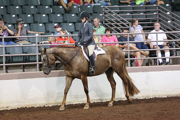 www.ngaphoto.com 2015 Georgia Federation of Saddle Clubs Championship Horse Show