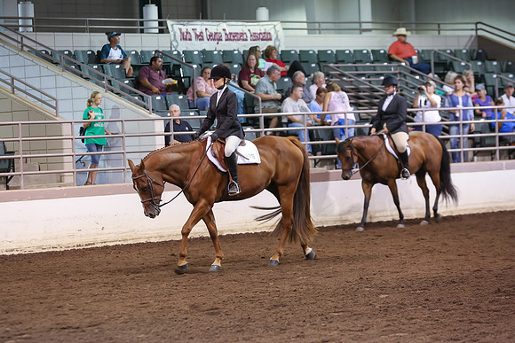 www.ngaphoto.com 2015 Georgia Federation of Saddle Clubs Championship Horse Show