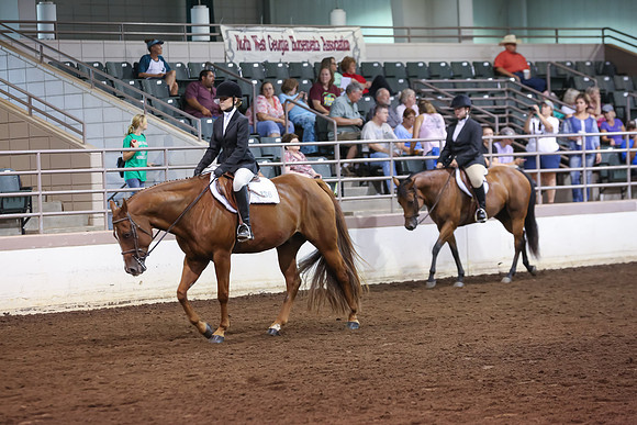 www.ngaphoto.com 2015 Georgia Federation of Saddle Clubs Championship Horse Show