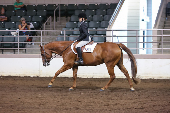 www.ngaphoto.com 2015 Georgia Federation of Saddle Clubs Championship Horse Show