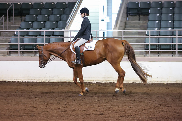 www.ngaphoto.com 2015 Georgia Federation of Saddle Clubs Championship Horse Show
