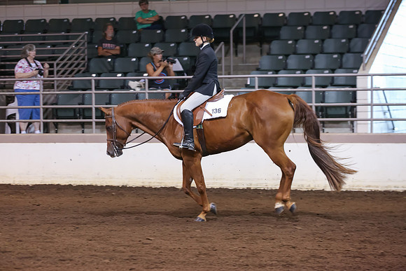 www.ngaphoto.com 2015 Georgia Federation of Saddle Clubs Championship Horse Show